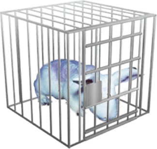 Rabbit in cage