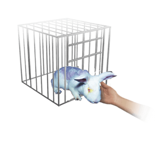 Rabbit out of cage